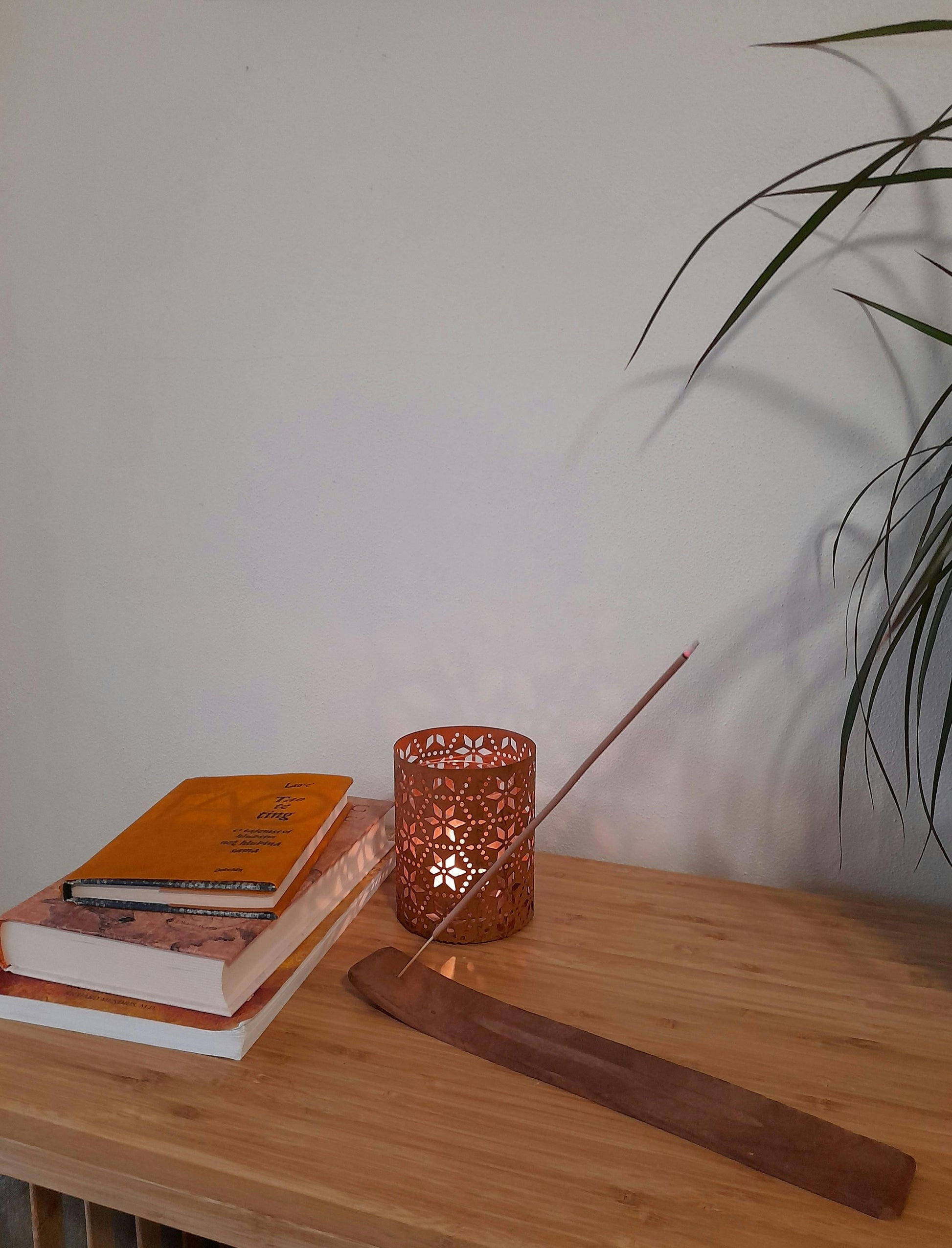 Stack of books with a lit candle and incense stick on a wooden surface, with a plant in the background.